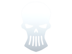 Silver Skulls image