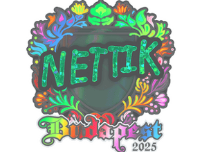 nettik (Holo) image