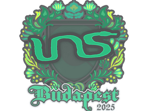INS image