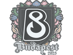 B8 image