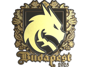 Team Spirit (Gold) image