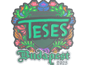 TeSeS (Embroidered) image