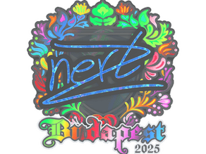 NertZ (Holo) image