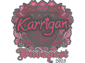 karrigan image