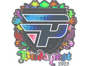 paiN Gaming (Holo) image