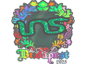 INS (Holo) image