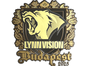 Lynn Vision (Gold) image