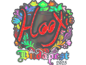 HooXi (Holo) image