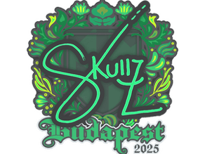 skullz image
