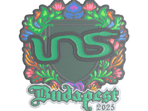 INS (Embroidered) image