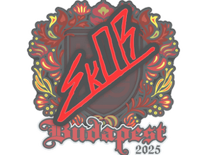 sk0R image