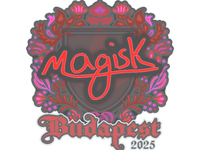 Magisk image