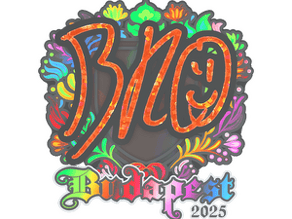 br0 (Holo) image
