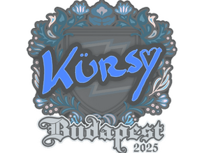 Kursy image