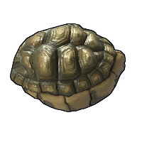 Tortoise Rock image