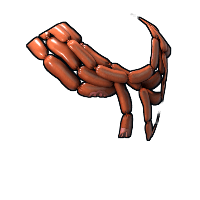 Sausages Poncho image