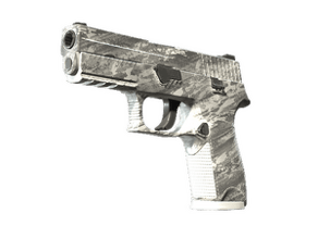 Sleet (Factory New) image