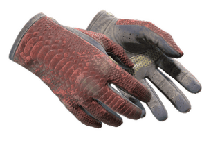 Dragon Fists image