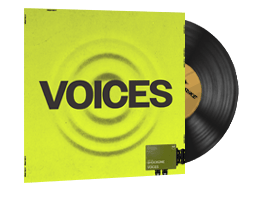 ShockOne, Voices image