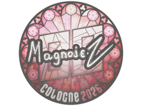 Magnojez image