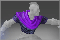 Tunic of the Survivor image