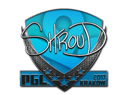 shroud image