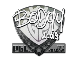 bodyy image