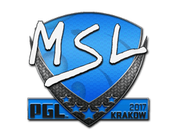 MSL image