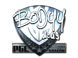 bodyy (Foil) image