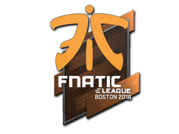 Fnatic image