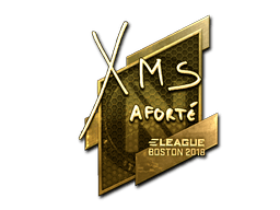 xms (Gold) image