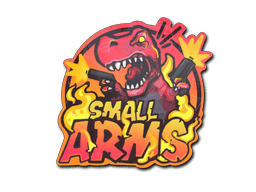 Small Arms image