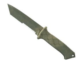 Safari Mesh image