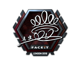 DD (Foil) image