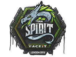 Team Spirit image