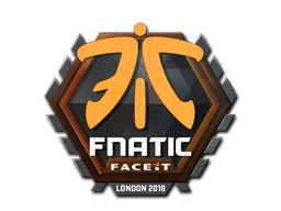 Fnatic image