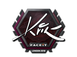 Kvik image