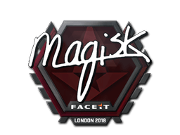Magisk image