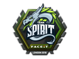Team Spirit image