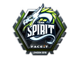 Team Spirit (Foil) image
