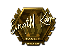 ngiN (Gold) image