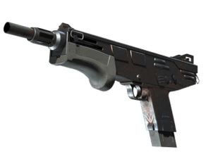 Rust Coat image