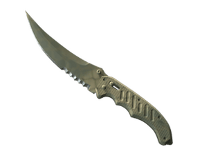 Safari Mesh image