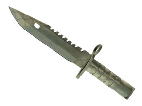 Safari Mesh image