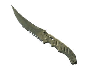 Safari Mesh image