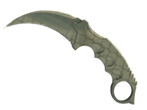 Safari Mesh image