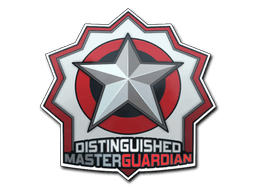 Distinguished Master Guardian image