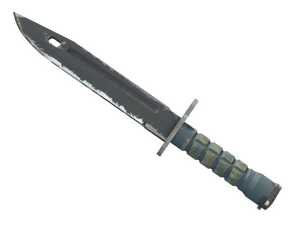 ★ Bayonet | Night (Well-Worn)