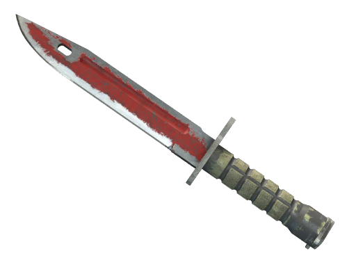 ★StatTrak™Bayonet|CrimsonWeb(Battle-Scarred)