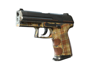 P2000 | Coach Class (Battle-Scarred)